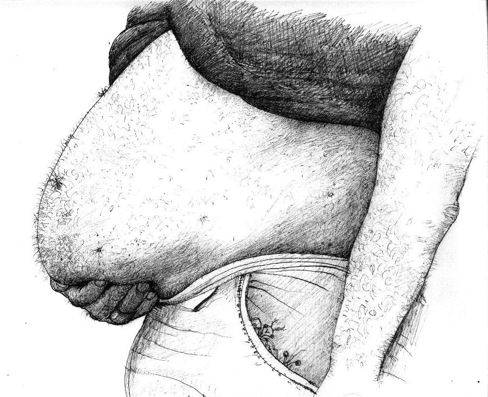 GUT SKETCH